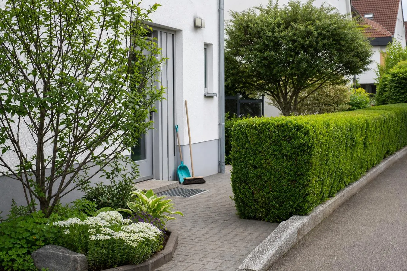 Gepflegte Außenanlage mit Hecke und Weg